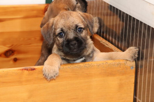 t-nest_week-8_divers-26 t-nest_week-8_divers-26