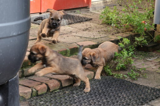 t-nest_week-8_divers-52 t-nest_week-8_divers-52